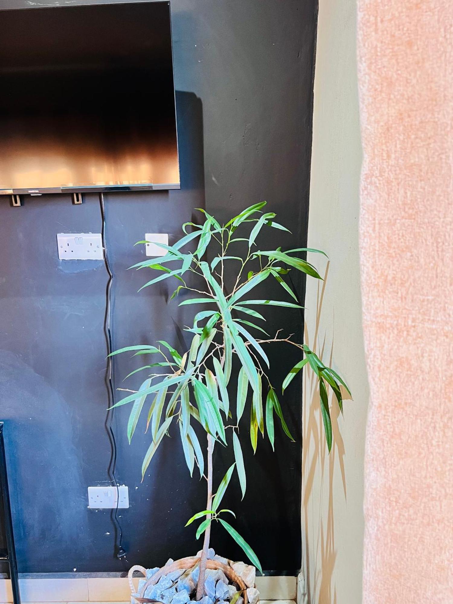 The Shed Venue & Boutique Hotel Lilongwe Eksteriør billede